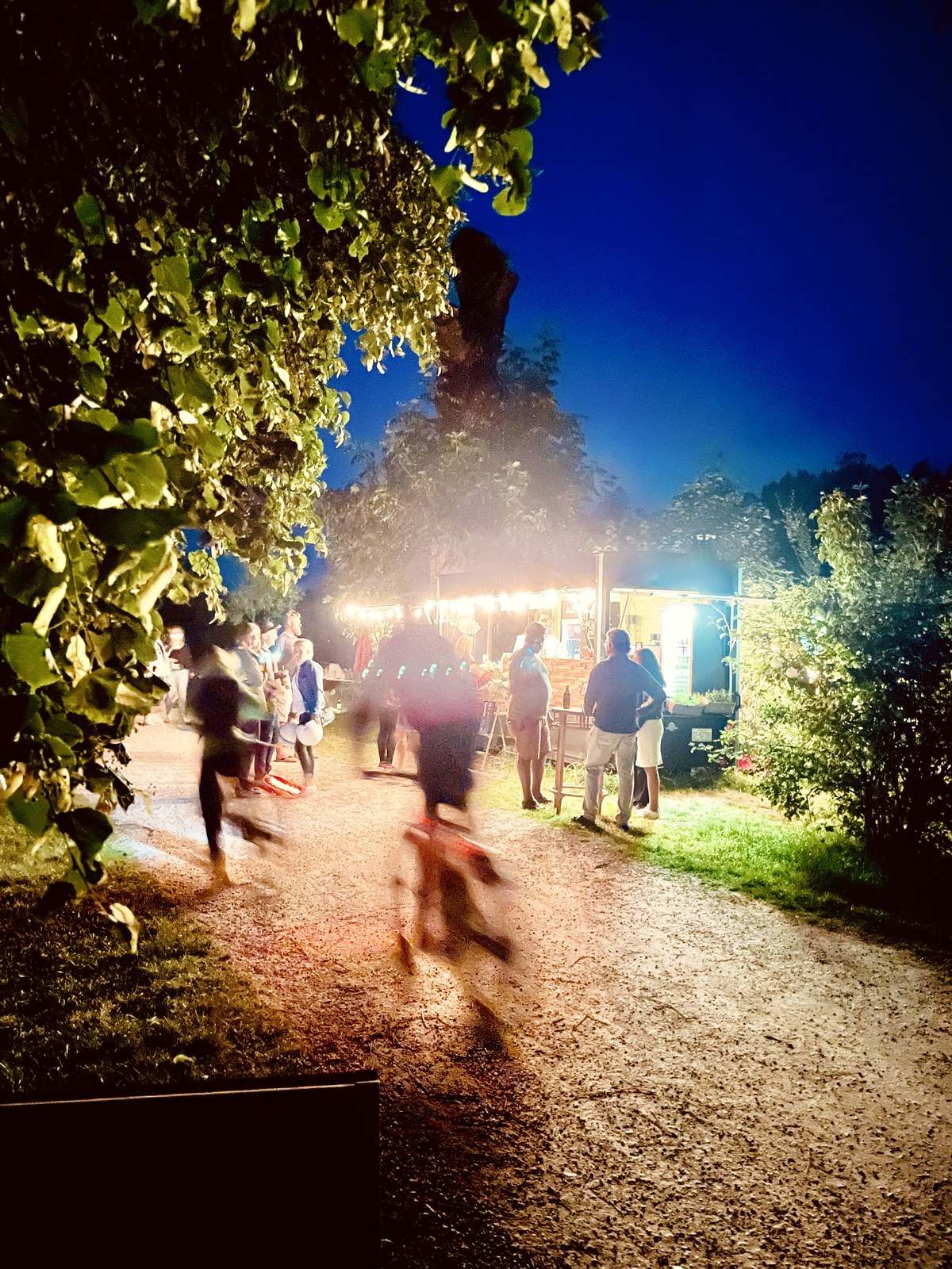 Sommerabend an der TRAUNBAR: Lichterkette an der Bar und Gäste auf dem Weg